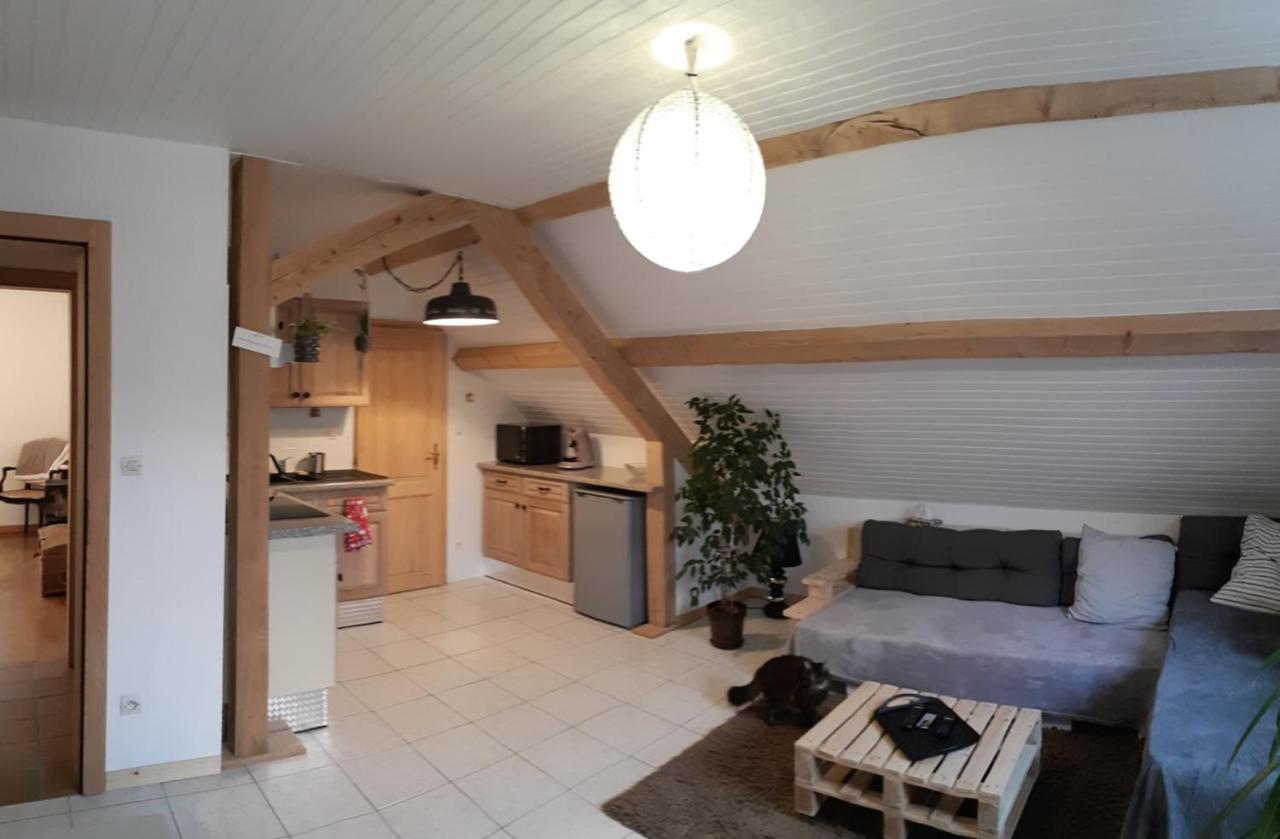 Appartement Douillet Avec Vue Sur Les Montagnes Fouchy Eksteriør billede