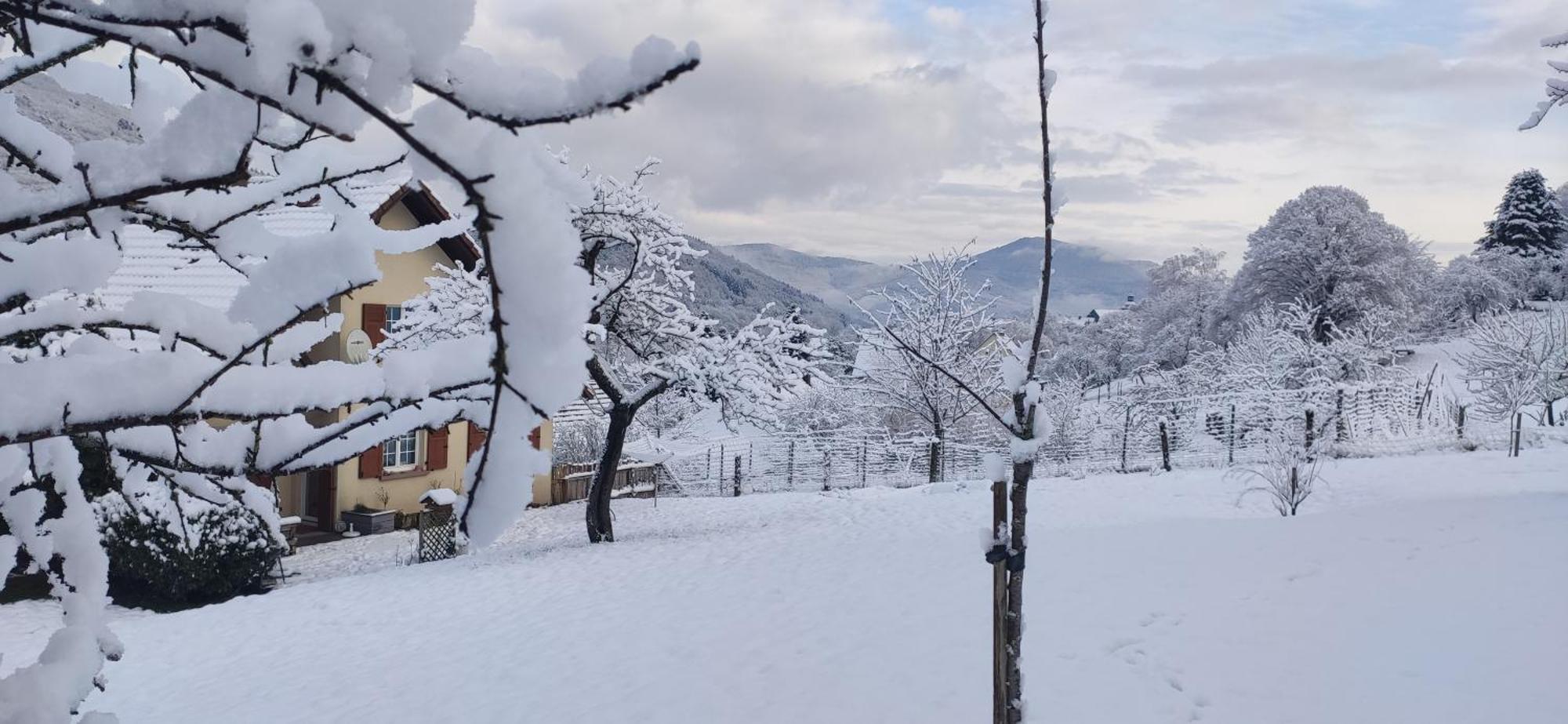 Appartement Douillet Avec Vue Sur Les Montagnes Fouchy Eksteriør billede